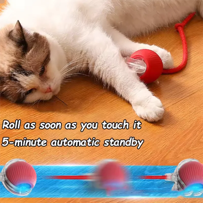Interactive Electric Cat & Dog Toy Ball
