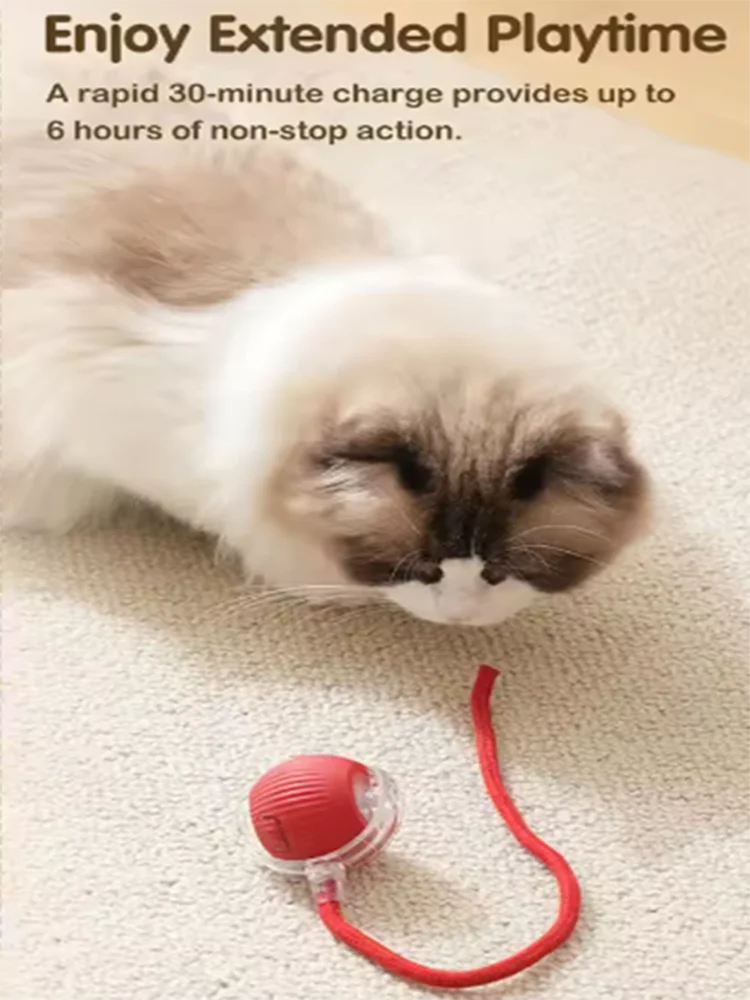Interactive Electric Cat & Dog Toy Ball
