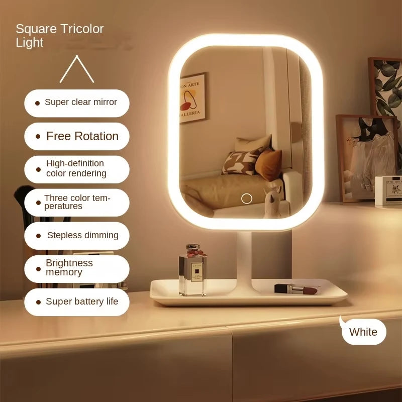 LED Vanity Mirror with 10X Magnification
