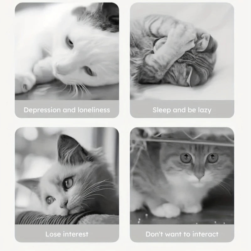 Silicone Hide-a-Treat Dental Toy for Small Pets